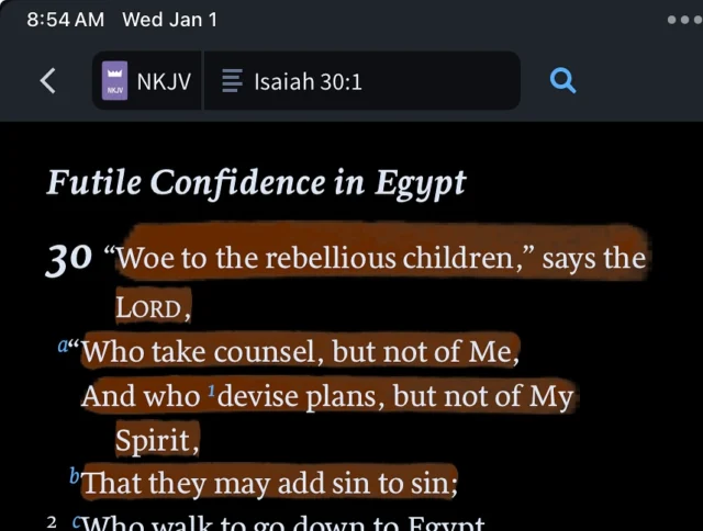 God is just out here with the gong, just delivering truth the last couple days!

Today’s scripture seems particularly convicting both as today is New Year’s and in general.  WOE (emphasis mine) to those who make plans outside of God.

It may be time to take a step back and really spend some time in prayer over this year.

What about you?