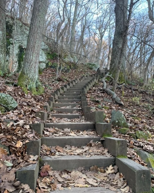 What's it mean to be good enough? And how do you get there?

https://jenniferfrisk.com/good-enough/